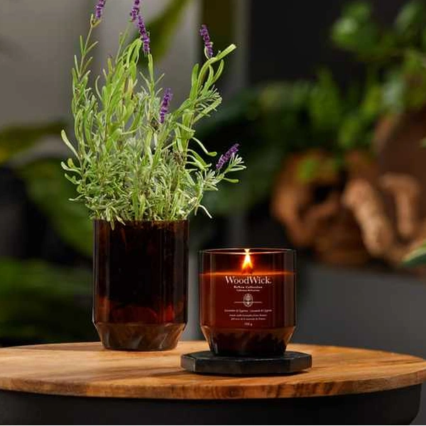 Ароматична свічка з ароматом базиліка та листя томатів