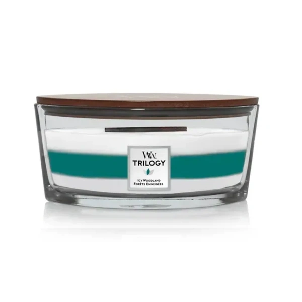 Ароматична свічка з ароматом базиліка, шавлії та пачулі