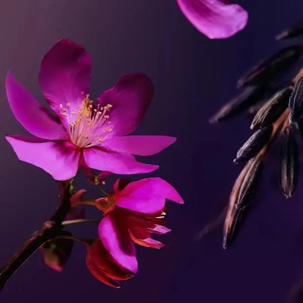 Гель - пінка для душу