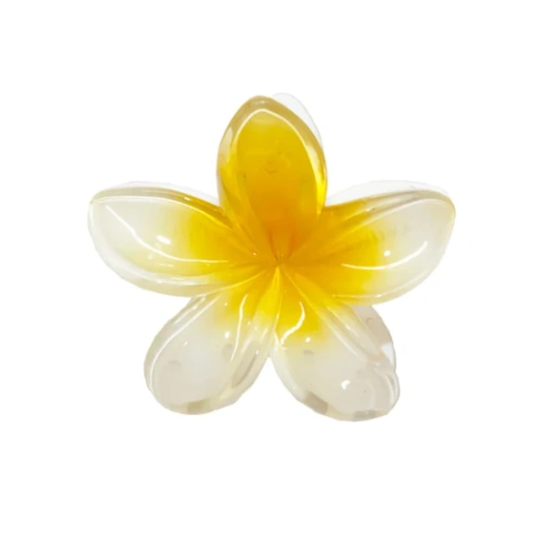 Заколка-краб для волосся