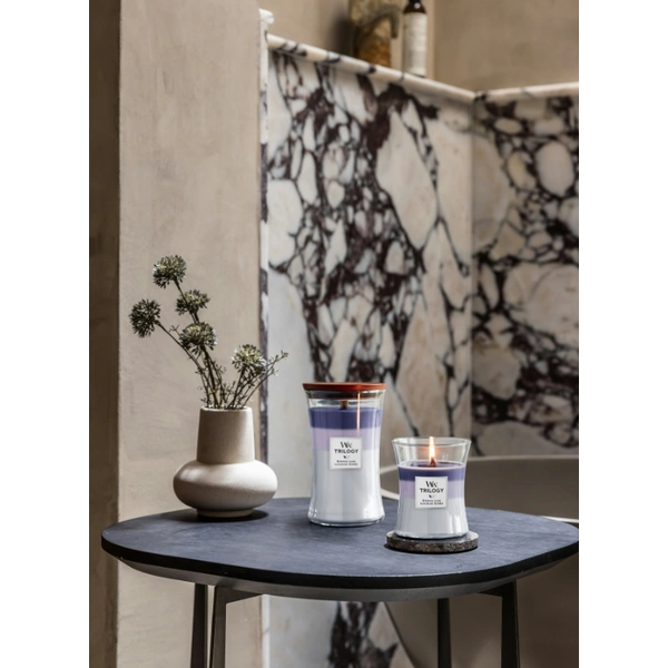 Ароматична свічка з ароматом сливи, евкаліпта та лаванди